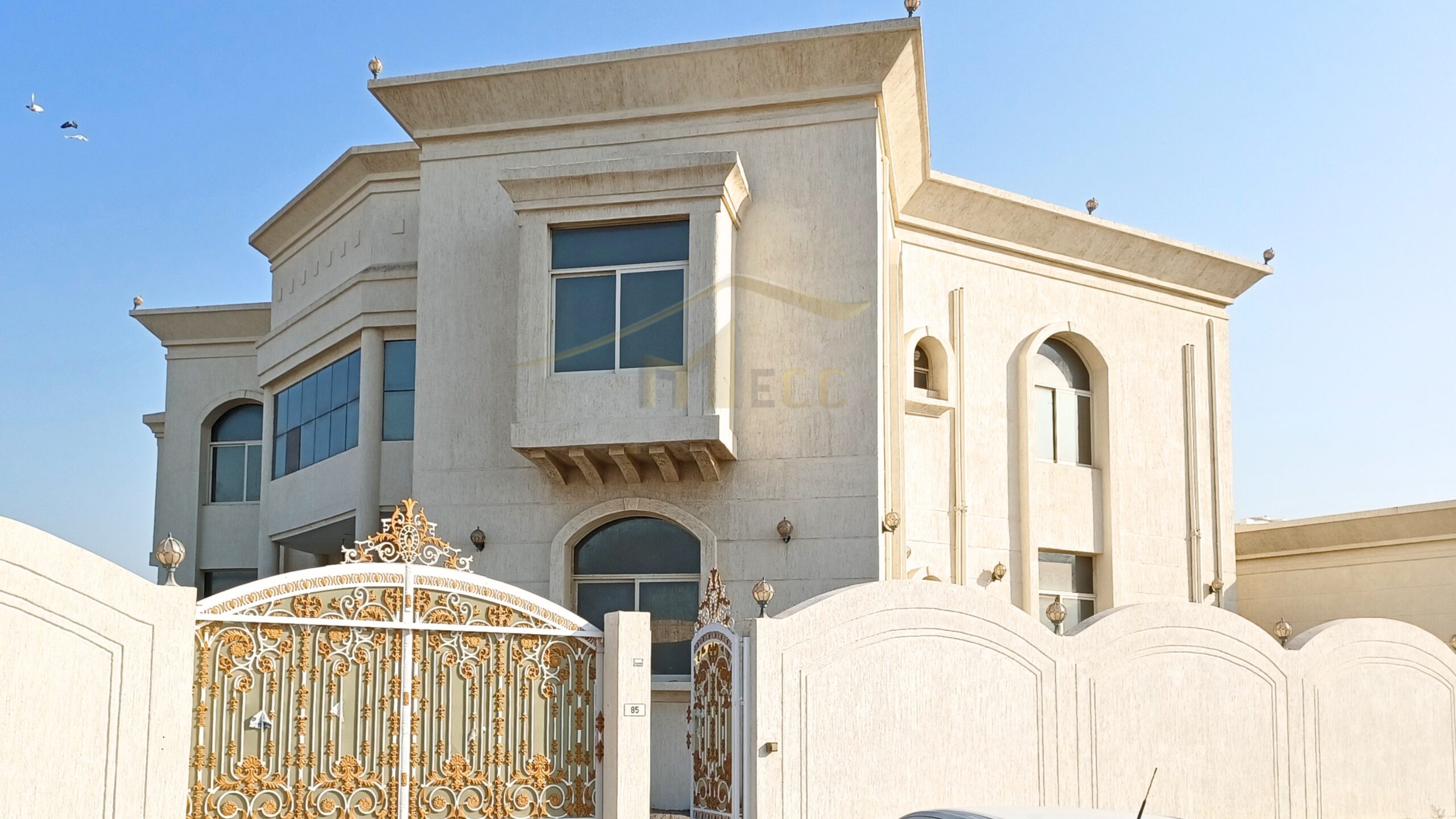 Untitled design - 2026-02-24T101339.009